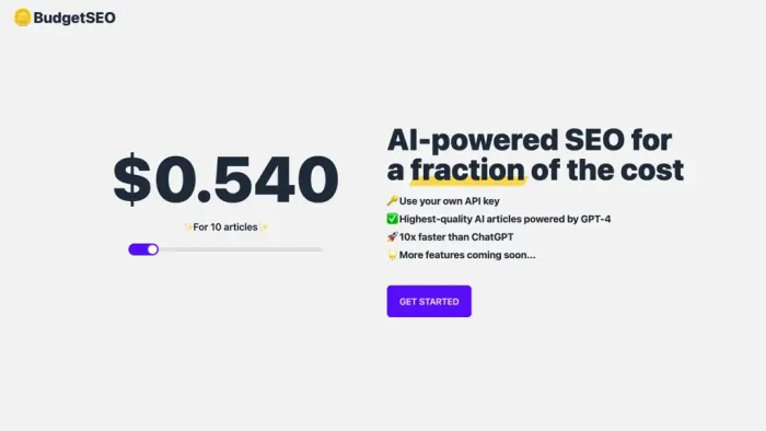 BudgetSEO BudgetSEO