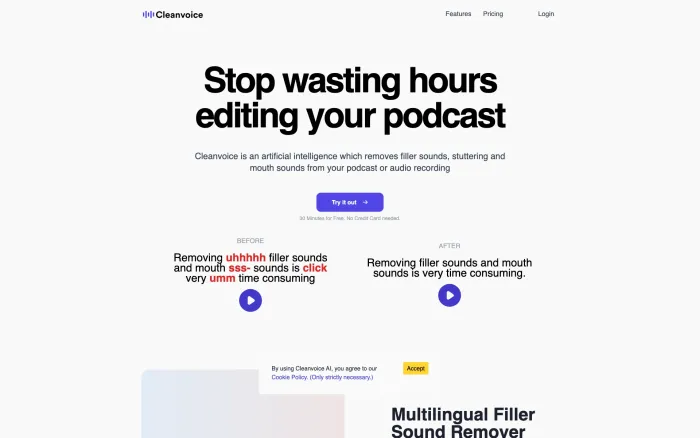 Cleanvoice AI Cleanvoice AI