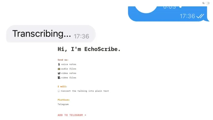 EchoScribe EchoScribe