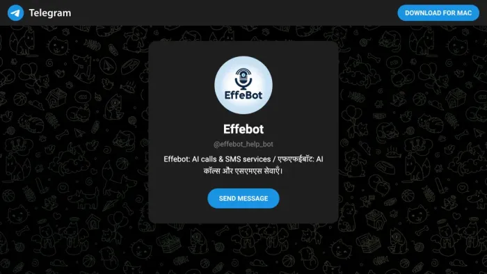 Effebot Effebot
