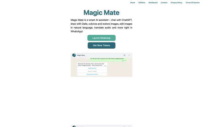 Magic Mate Magic Mate