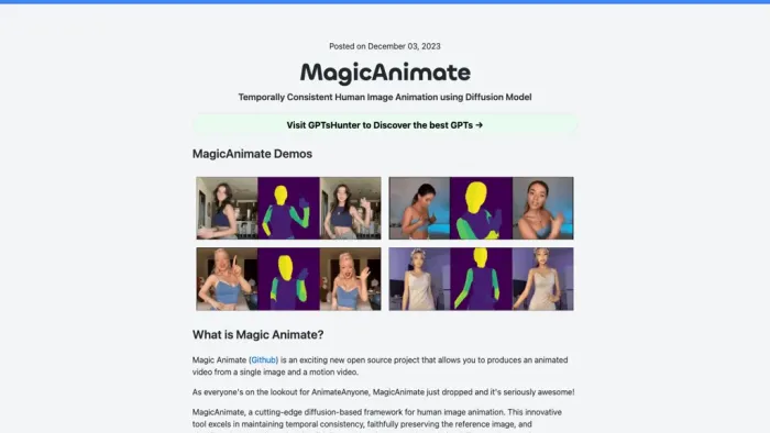 MagicAnimate Playground MagicAnimate Playground