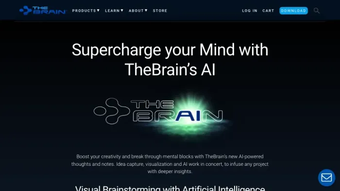 The Brain The Brain