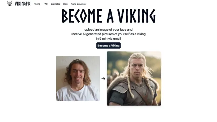 VikingPic VikingPic