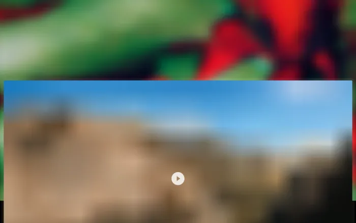 Wzrd.ai Wzrd.ai
